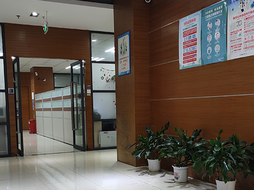 Company profile